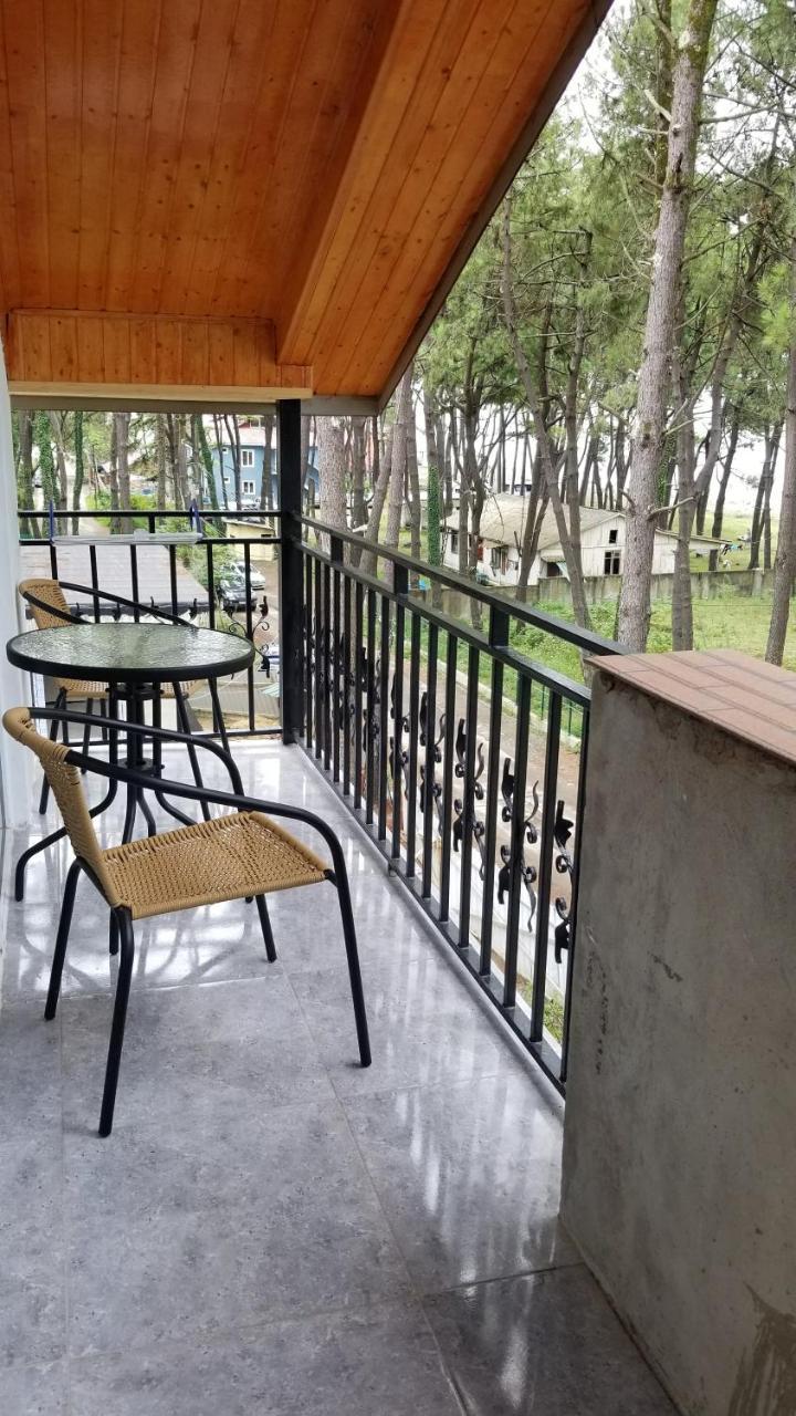 Gina Shekvetili酒店 外观 照片