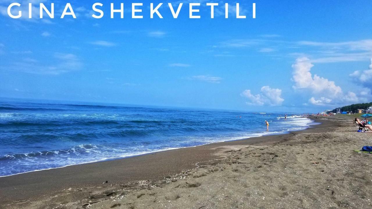 Gina Shekvetili酒店 外观 照片